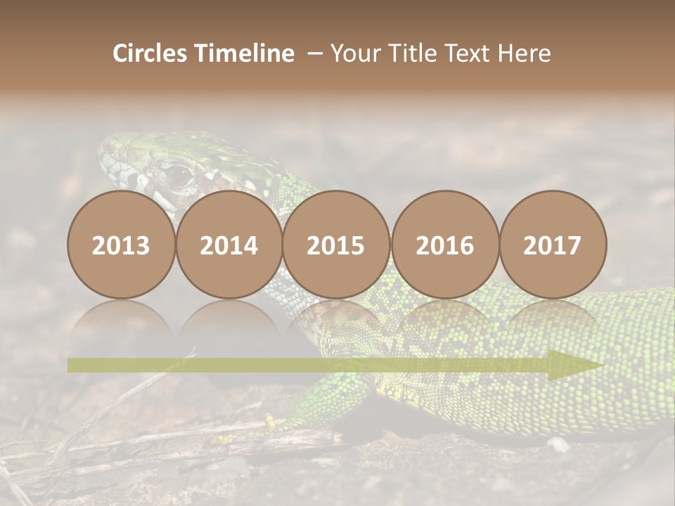 Texture Wildlife Yellow PowerPoint Template