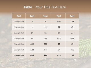 Texture Wildlife Yellow PowerPoint Template