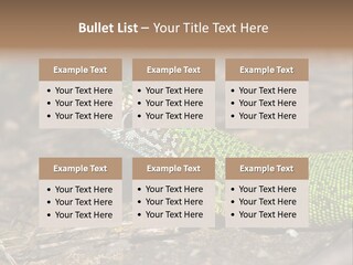 Texture Wildlife Yellow PowerPoint Template