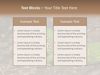 Texture Wildlife Yellow PowerPoint Template