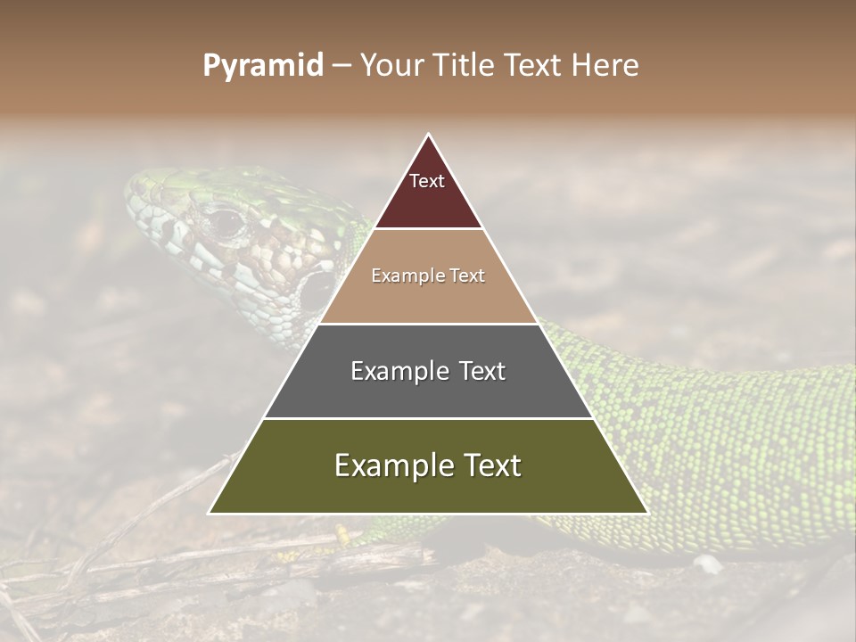 Texture Wildlife Yellow PowerPoint Template