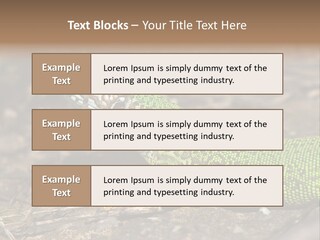 Texture Wildlife Yellow PowerPoint Template