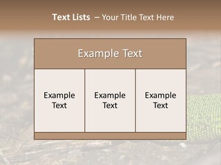 Texture Wildlife Yellow PowerPoint Template