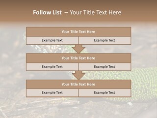 Texture Wildlife Yellow PowerPoint Template
