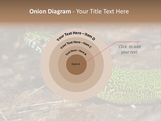 Texture Wildlife Yellow PowerPoint Template