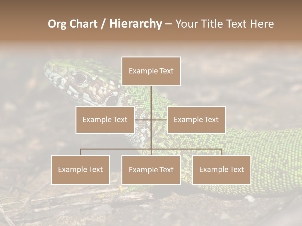 Texture Wildlife Yellow PowerPoint Template