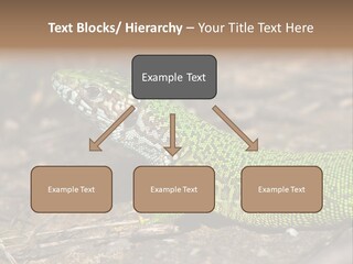 Texture Wildlife Yellow PowerPoint Template