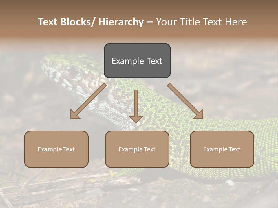 Texture Wildlife Yellow PowerPoint Template