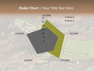 Texture Wildlife Yellow PowerPoint Template