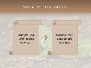 Texture Wildlife Yellow PowerPoint Template