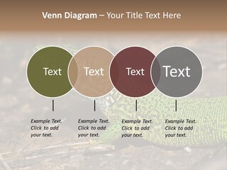 Texture Wildlife Yellow PowerPoint Template