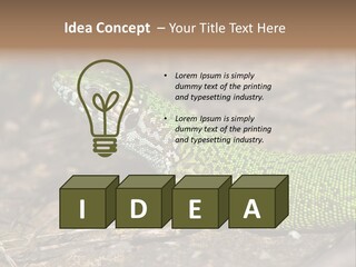 Texture Wildlife Yellow PowerPoint Template