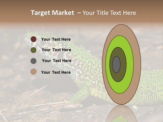 Texture Wildlife Yellow PowerPoint Template