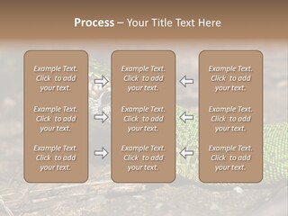 Texture Wildlife Yellow PowerPoint Template