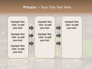 Texture Wildlife Yellow PowerPoint Template