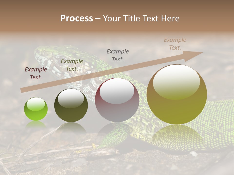 Texture Wildlife Yellow PowerPoint Template