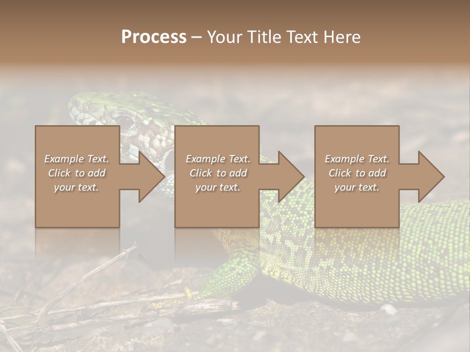 Texture Wildlife Yellow PowerPoint Template