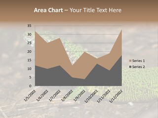 Texture Wildlife Yellow PowerPoint Template