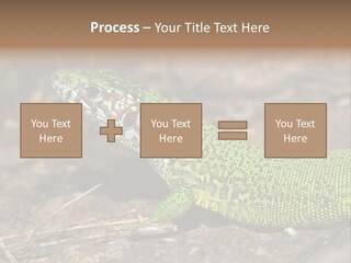 Texture Wildlife Yellow PowerPoint Template