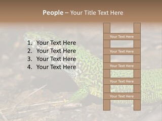 Texture Wildlife Yellow PowerPoint Template