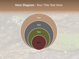 Texture Wildlife Yellow PowerPoint Template