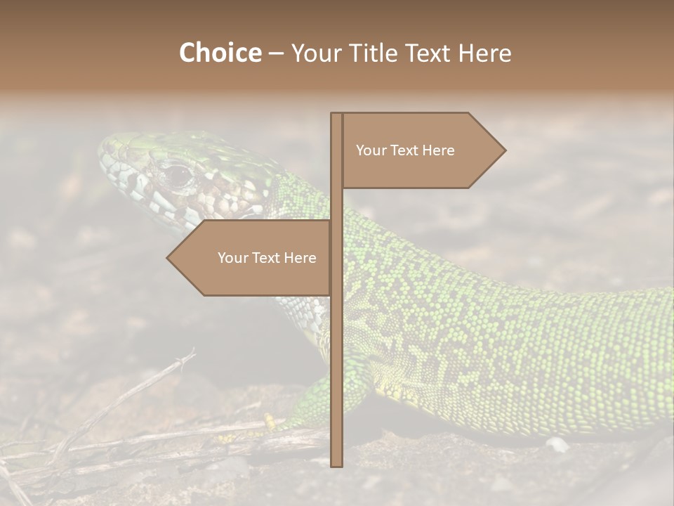 Texture Wildlife Yellow PowerPoint Template