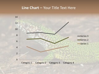 Texture Wildlife Yellow PowerPoint Template