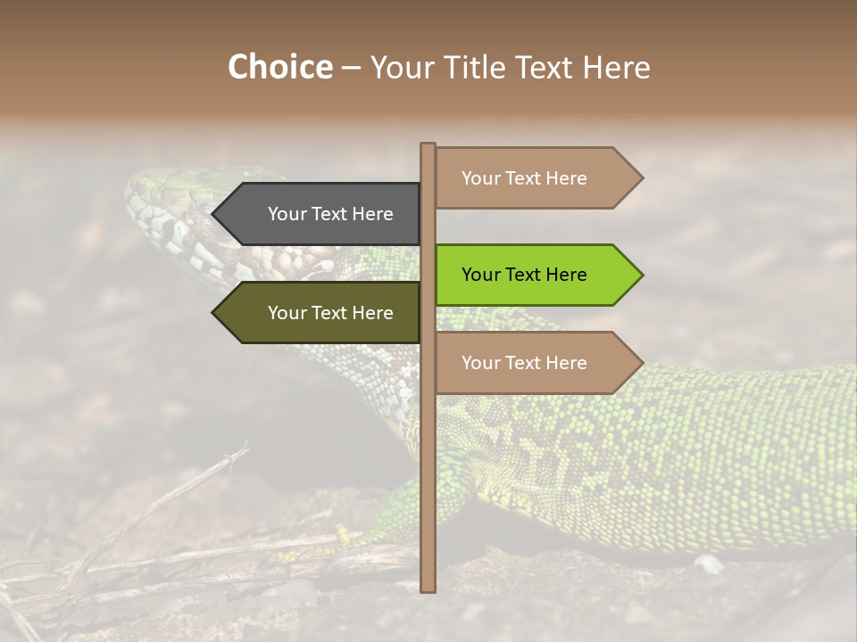 Texture Wildlife Yellow PowerPoint Template