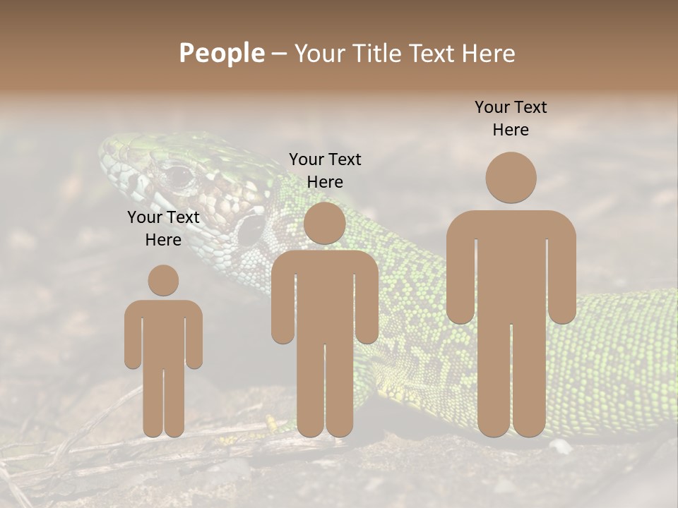 Texture Wildlife Yellow PowerPoint Template