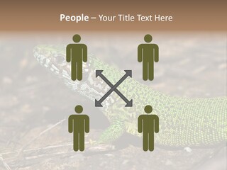 Texture Wildlife Yellow PowerPoint Template