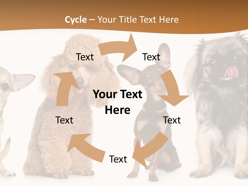 Happy Furry Puppy PowerPoint Template