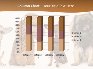 Happy Furry Puppy PowerPoint Template