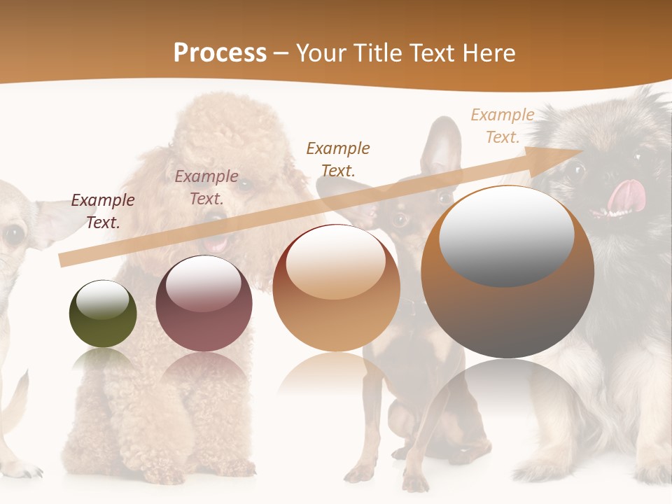 Happy Furry Puppy PowerPoint Template