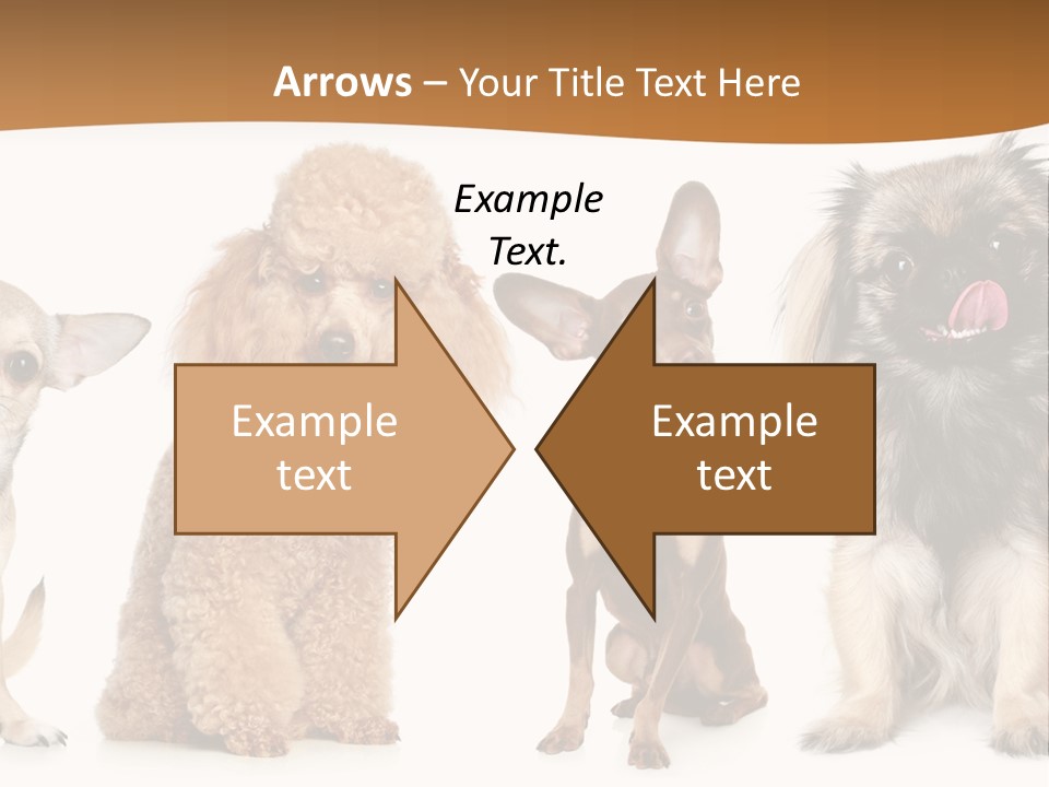 Happy Furry Puppy PowerPoint Template