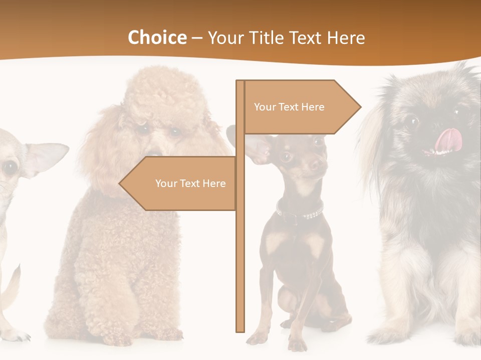 Happy Furry Puppy PowerPoint Template