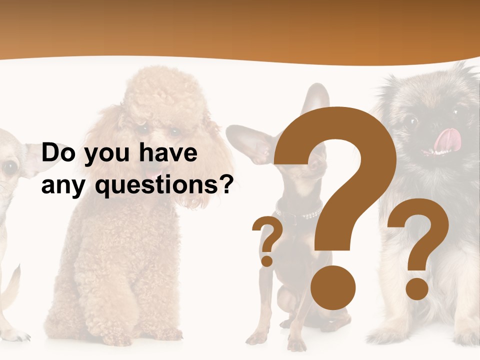 Happy Furry Puppy PowerPoint Template