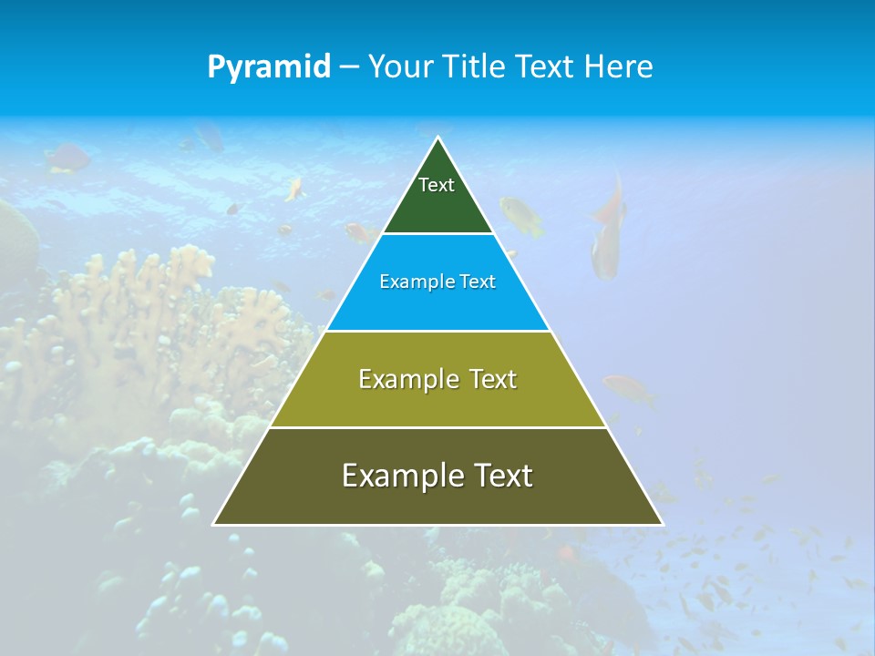 Coral Red Aquatic PowerPoint Template