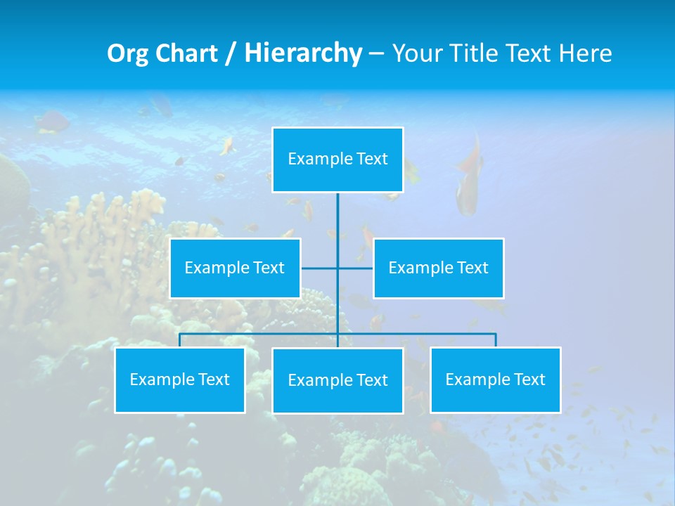 Coral Red Aquatic PowerPoint Template