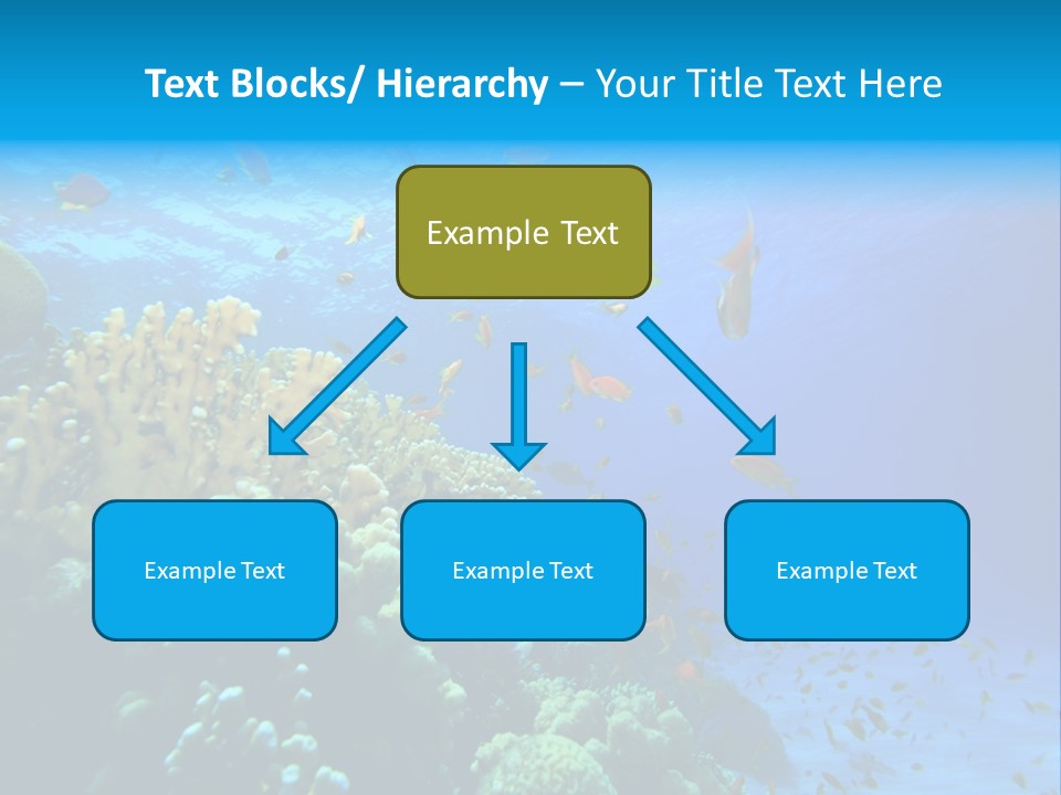 Coral Red Aquatic PowerPoint Template