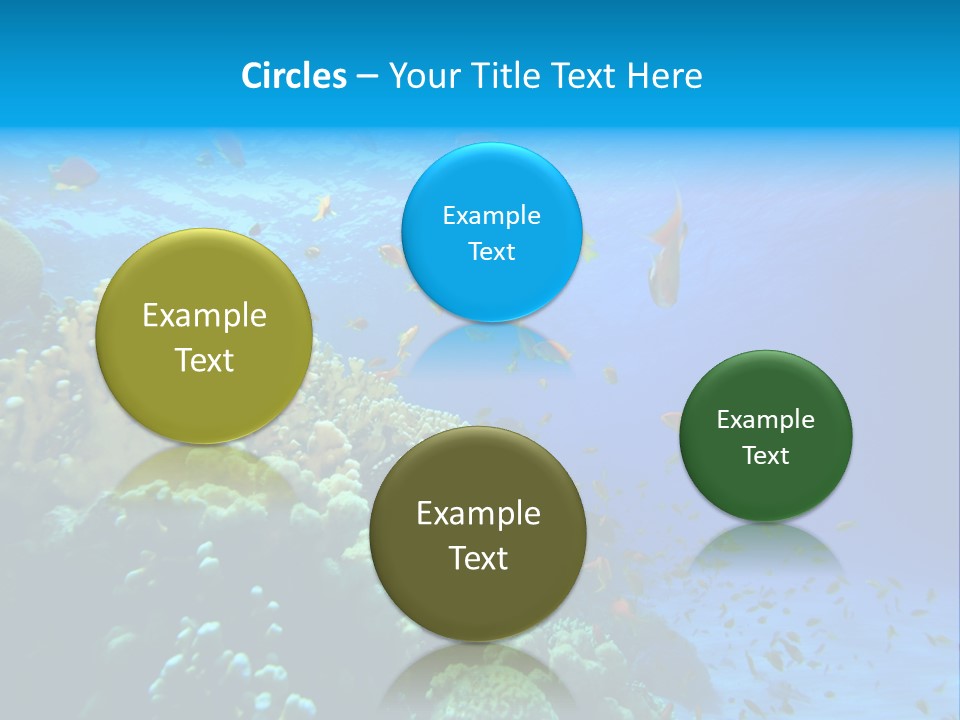 Coral Red Aquatic PowerPoint Template