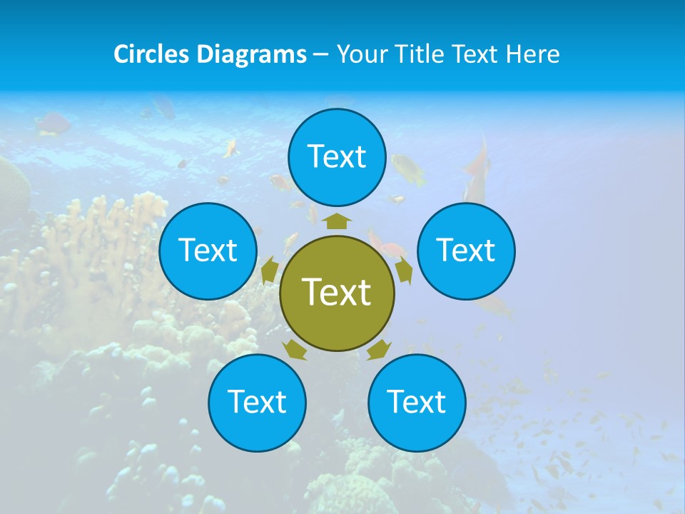 Coral Red Aquatic PowerPoint Template