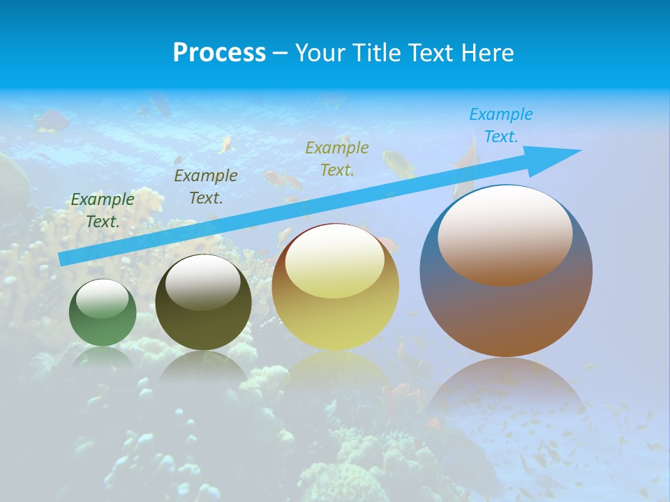 Coral Red Aquatic PowerPoint Template