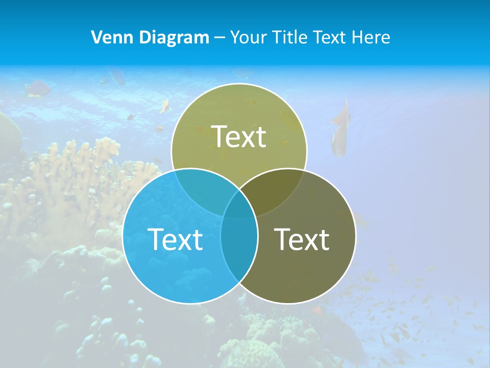 Coral Red Aquatic PowerPoint Template