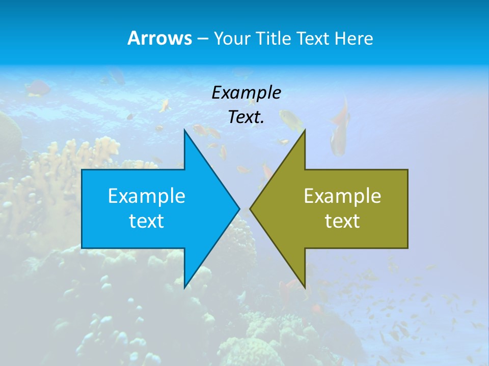 Coral Red Aquatic PowerPoint Template