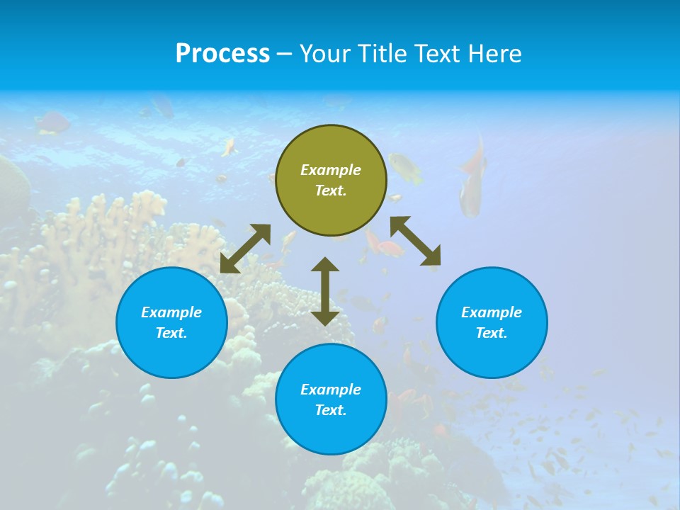 Coral Red Aquatic PowerPoint Template