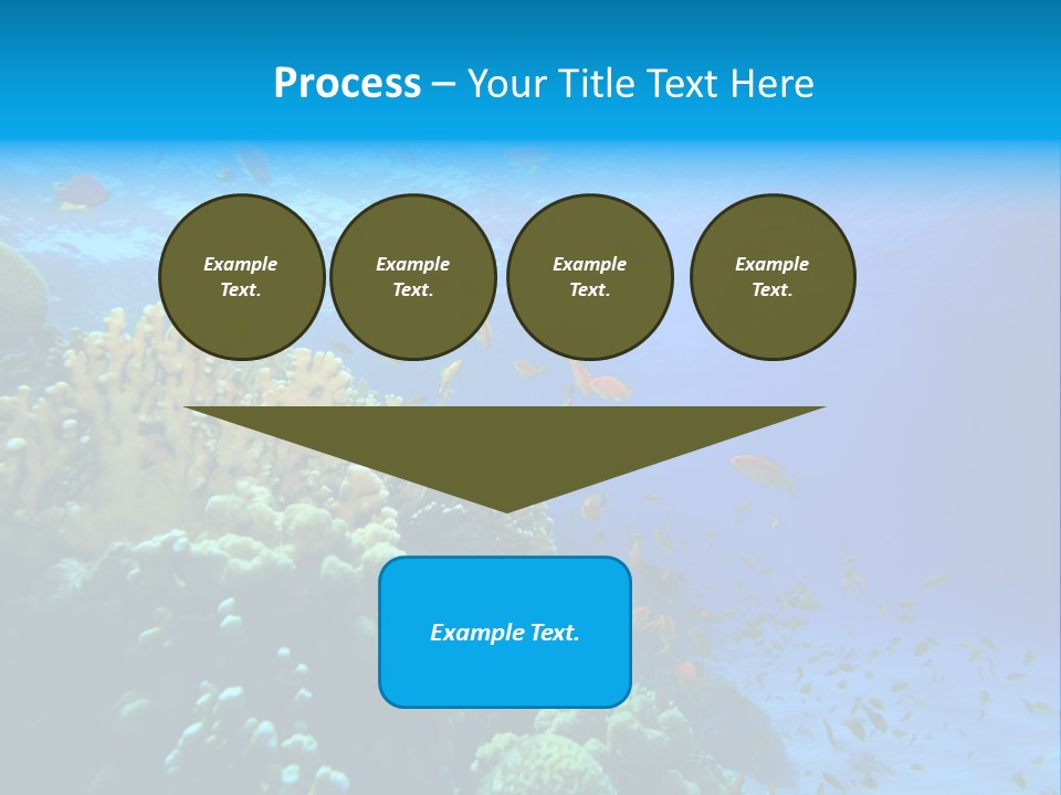 Coral Red Aquatic PowerPoint Template