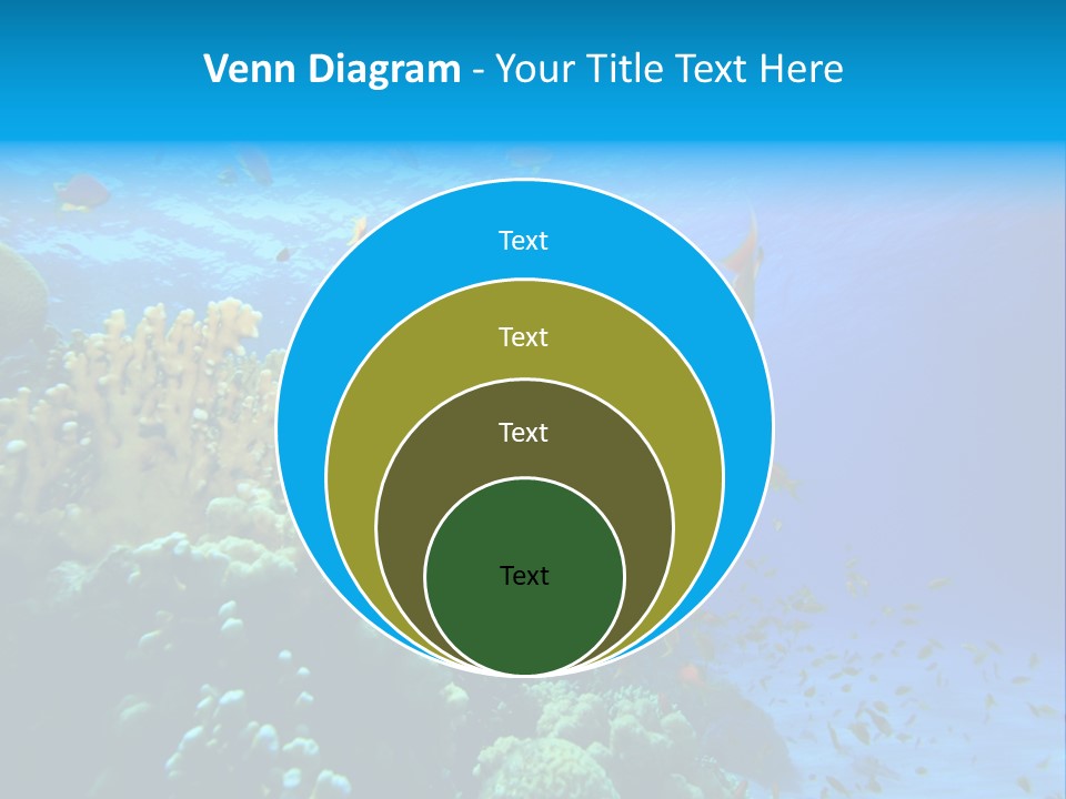 Coral Red Aquatic PowerPoint Template