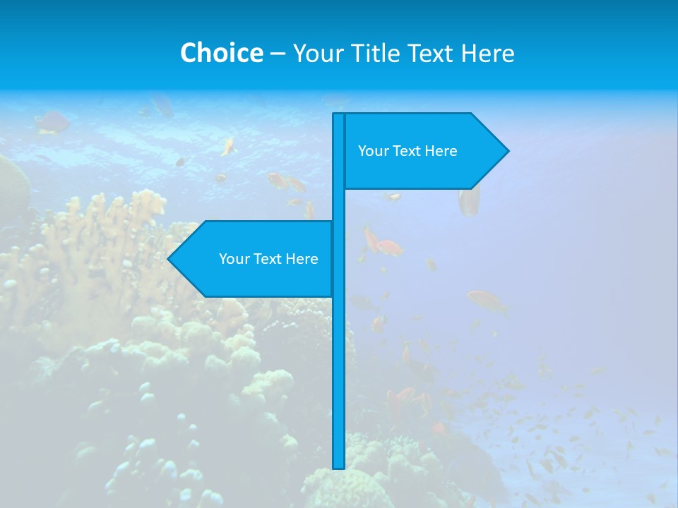 Coral Red Aquatic PowerPoint Template