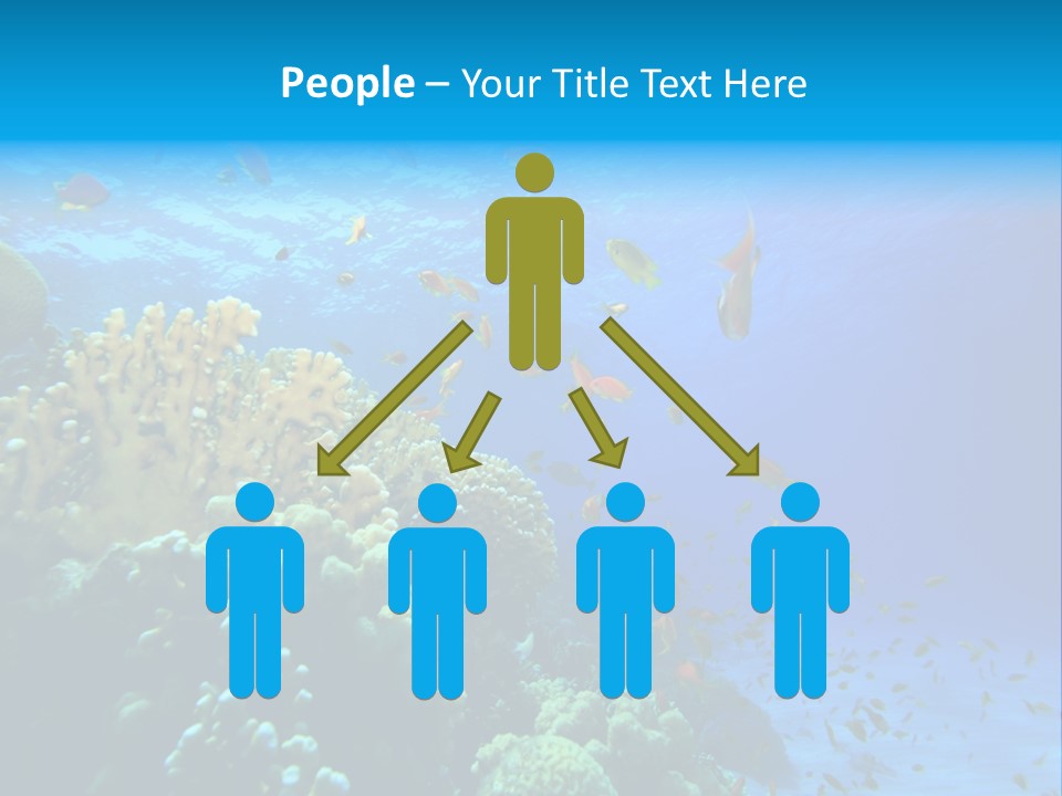 Coral Red Aquatic PowerPoint Template