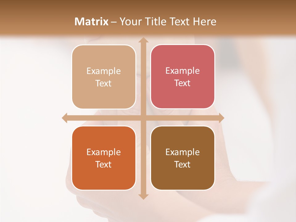 Species Mediterranean Birdwatching PowerPoint Template
